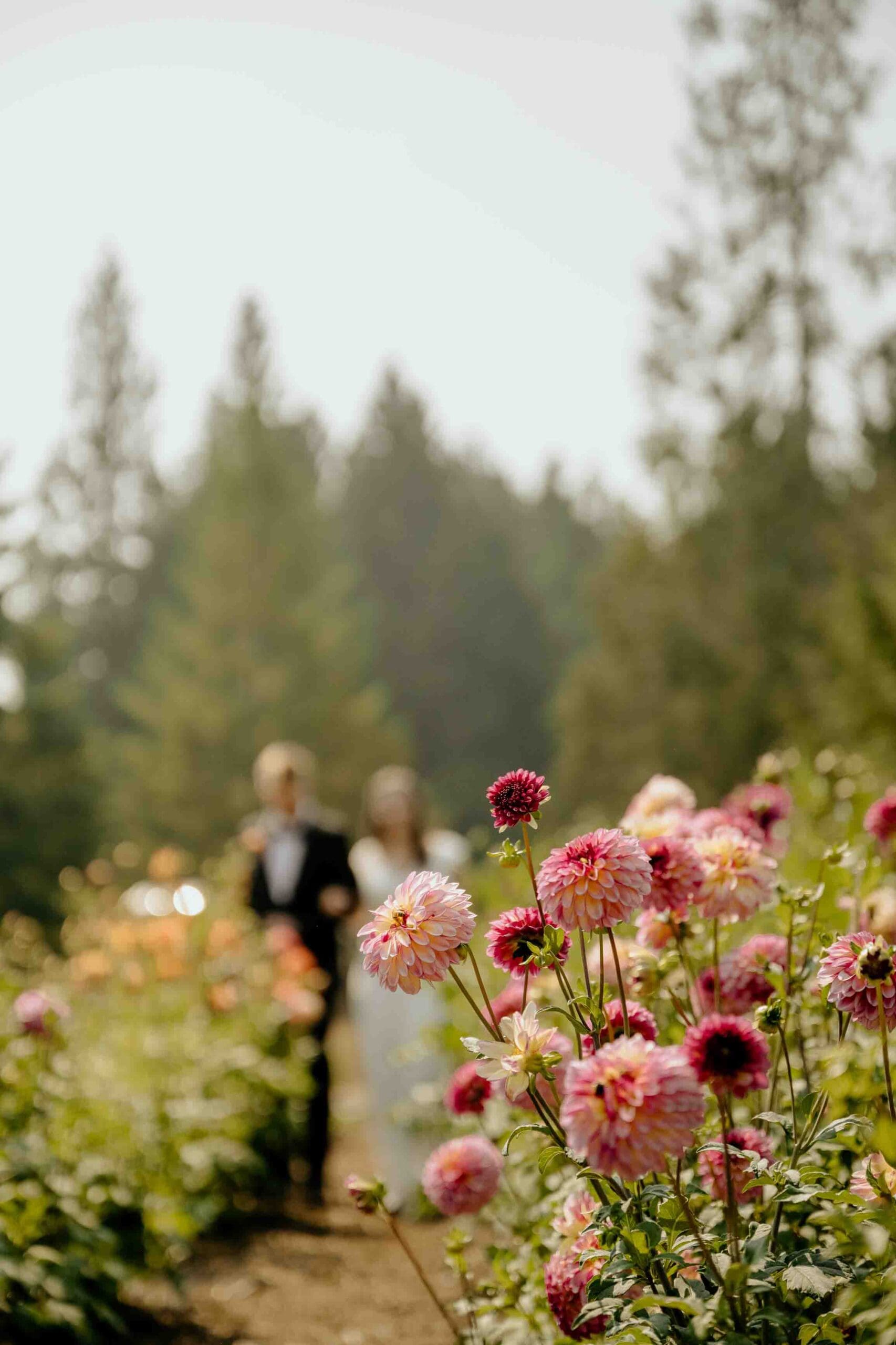 Bennet and Jesse during their garden wedding at Farm Kitchen in Poulsbo, Washington